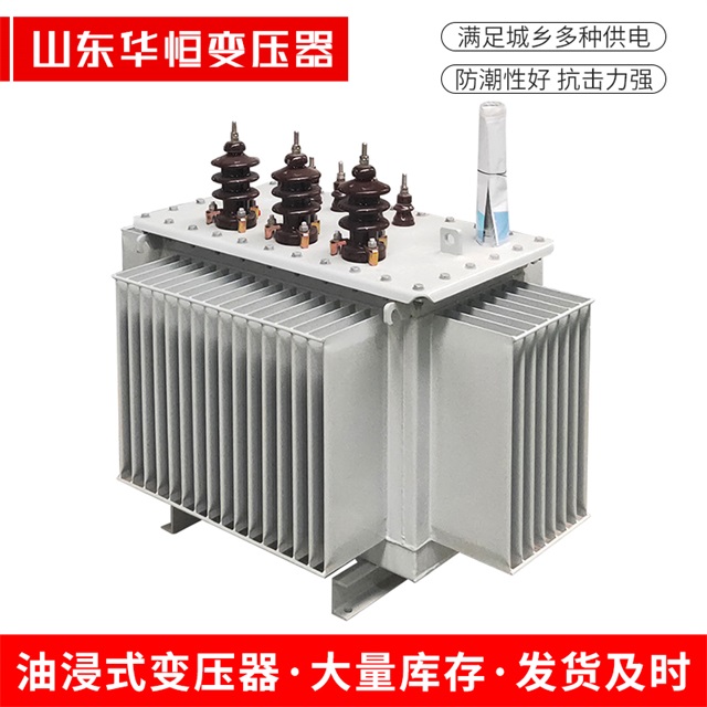 S13-10000/35志丹志丹志丹油浸式变压器厂家